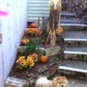 Meet your Posher, Colleen